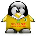 Penguin pingouin pinguino 869